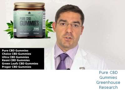 Pure CBD Gummies Doctor Review